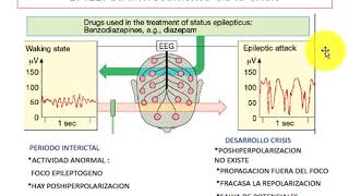 Fármacos Antiepilépticos [upl. by Yeldah]