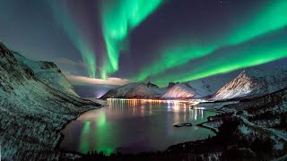 4K Northern Lights Timelapse  Tromsø  Norway  December 2021 [upl. by Ainatnas313]