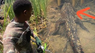 Spearfishing For Food in Crocodile infested Water and this Happened [upl. by The528]