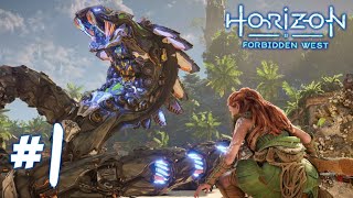 HORIZON FORBIDDEN WEST PS5  GIANT ROBOT SNAKES  Gameplay Part 1 HD [upl. by Arlen217]