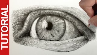 How to Draw a Realistic Eye  Graphite Pencil Tutorial [upl. by Eidson]