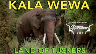 Kala Wewa Sri Lanka  Land of Tuskers [upl. by Landers]