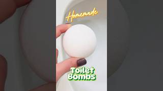 Unleash the Cleaning Power of Toilet Bombs The Best Toilet Bomb Recipe EVER [upl. by Jermyn224]