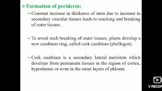 Periderm formation class 11th [upl. by Otte698]