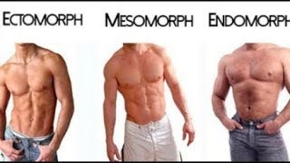 Ectomorph  Endomorph  Mesomorph  The 3 Different Body Types [upl. by Osnofledi954]