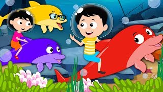 We Are The Dolphins  Kindergarten Songs And Videos For Kids [upl. by Jopa]