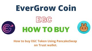 How to Buy EverGrow Coin EGC Using PancakeSwap On Trust Wallet OR MetaMask Wallet [upl. by Lluj]