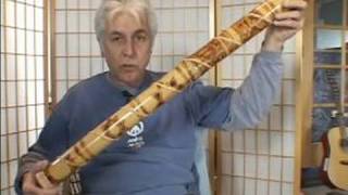 How to Play the Rain Stick  Creative Ideas for Playing the Rain Stick [upl. by Ative29]