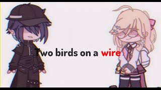 Two birds on a wire  Shuichi angst  Danganronpa v3  GC [upl. by Akinej]