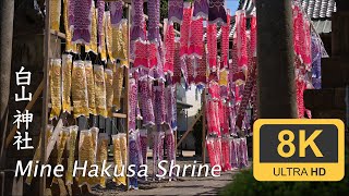 Mine Hakusan Shrines Koinobori  Tokyo  白山神社 嶺白山神社 [upl. by Eiramanel]