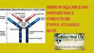 immunoglobulins structuretypes and functions [upl. by Carisa]