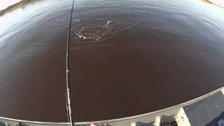 Calcasieu Lake Big Lake LouisianaPaul Brown Custom Broke Back winter 13 [upl. by Leterg]