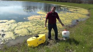 Controlling Algae in Farm Ponds [upl. by Atterrol867]