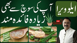 REVEALING 6 SECRETS OF ALOE VERA FOR YOUR GARDEN  USES OF ALOE VERA IN GARDENING [upl. by Willtrude]