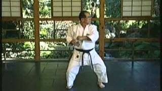 Motoburyu Naihanchi Shodan by Motobu Chosei [upl. by Engis840]