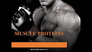 MUSCLE PROTEINS [upl. by Breanne]