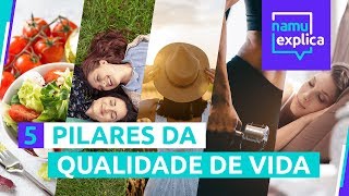 Conheça os 5 principais pilares da qualidade de vida [upl. by Sabina]