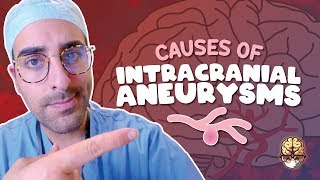 Intracranial Aneurysm Causes [upl. by Adym423]