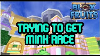 Blox Fruits  Trying to get Mink Race Update 11  Roblox [upl. by Tehc]