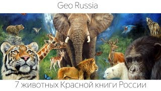 ЖИВОТНЫЕ КРАСНОЙ КНИГИ РОССИИ [upl. by Ellienad]