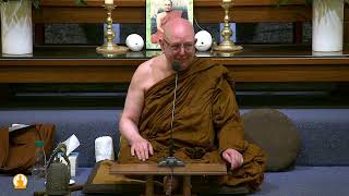 Water the Flowers  Ajahn Brahm  12 January 2024 [upl. by Barhos]