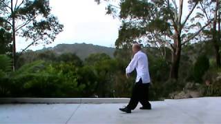 10 Minute Tai Chi Lesson  Amazing [upl. by Sivartal]