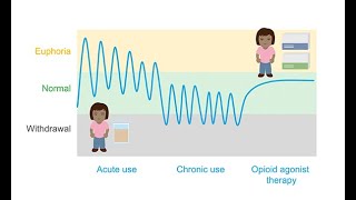 Prescribing Opioid Agonists Unpacking Methadone Buprenorphine amp Naltrexone [upl. by Sheffield295]