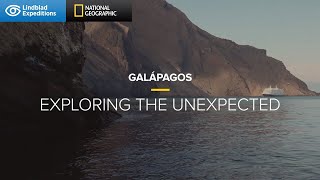 Galápagos Exploring the Unexpected  Lindblad ExpeditionsNational Geographic [upl. by Mcquade]