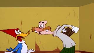 Woody Woodpecker Wally Walrus Laugh [upl. by Atinahc]