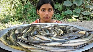 Little Eel Fish Curry Recipe  Bengali Style Gachi Mach Cooking By Street Village Food [upl. by Ecyla]