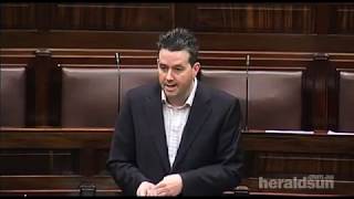 UnParliamentary language in Irelands government [upl. by Saduj]