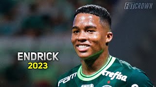 Endrick 2023 ● Palmeiras ► Crazy Skills amp Goals  HD [upl. by Pauly]