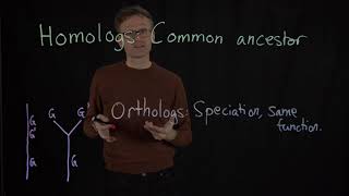 Lecture 11 concept 10 Homologs orthologs amp paralogs [upl. by Itsud]