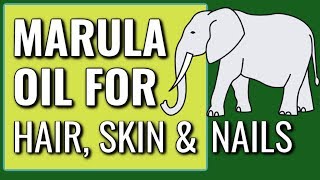 MARULA OIL FOR HAIR SKIN AND NAILS DR DRAY [upl. by Vullo]