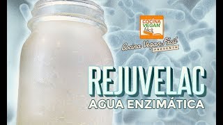 Rejuvelac agua con enzimas y probióticos  Cocina Vegan Fácil [upl. by Kaycee372]