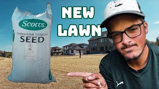 How to GROW Grass SEED on NEW LAWN  Scotts Pro Vista Kentucky Bluegrass Seed [upl. by Reiter795]