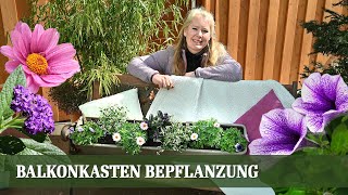 Balkonkasten Bepflanzung für den Sommer  Teil 1 Sonniger Standort [upl. by Ydda587]