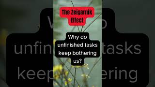 The Zeigarnik Effect [upl. by Anircam786]