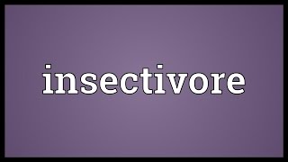 Insectivore Meaning [upl. by Assirralc419]