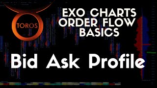 Exo Charts Footprint Basics  Bid Ask Profile How to read and trade it Bitcoin BTCUSD [upl. by Wendelina]