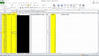 Raffle Drawing In Excel [upl. by Hokanson]