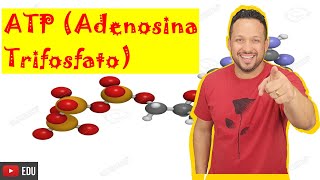 ATP Adenosina Trifosfato  Conceito  Função  Formação  Quebra  Bioenergética  Bioquímica [upl. by Ahsuatan920]