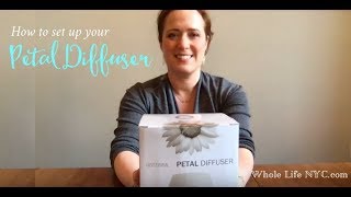 Petal Diffuser Doterra  How To Set Up My Diffuser  Setting up Doterra Diffuser [upl. by Alsi]