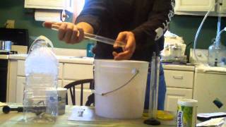 How to make wine from Frozen grape juice [upl. by Ecnirp]