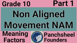 NAM  Non Aligned Movement  ICSE Class 10  sirtarunrupani [upl. by Dysart942]