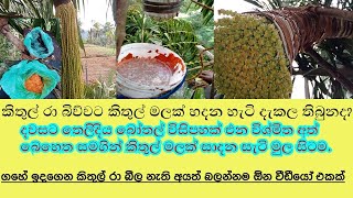 kithul mala hadana widiyamula sitaකිතුල් මලක් සාදන අයුරු [upl. by Gerick]