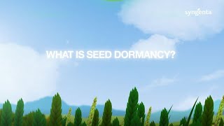 What is seed dormancy [upl. by Hacceber760]