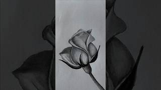 How to draw Rose easy 🌹🌹😍easy drawing shorts rose drawing [upl. by Granese]