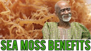 Dr Sebi Talks About Amazing Benefits Of Sea Moss [upl. by Murat603]