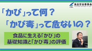 食品に生える「かび」の基礎知識と「かび毒」のリスク評価〔令和4年度食品安全モニターセミナーより〕 [upl. by Joshia]